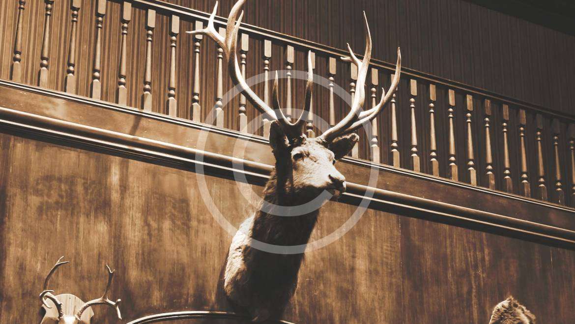 Say Hello to Jim, Our New Bar Dude